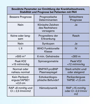 Verlaufsbeurteilung Bei Pulmonal Arterieller Hypertonie Pah Diagnostik Der Pulmonal Arteriellen Hypertonie Pah Arztcme