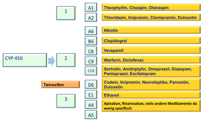 Schmerztherapie Arzneimittelinteraktionen arztCME