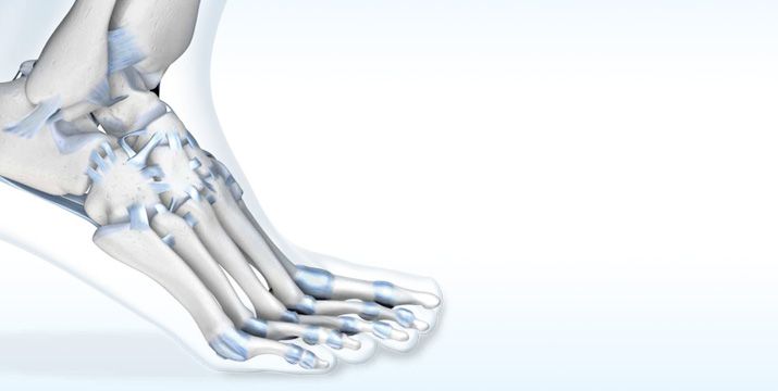 Sprunggelenk: Anatomie und Diagnostik