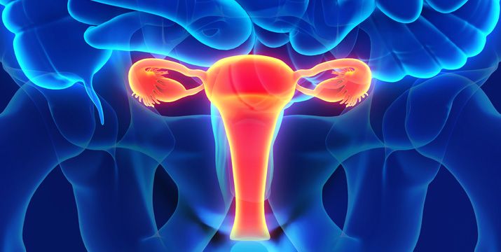 Endometriose Update 2022